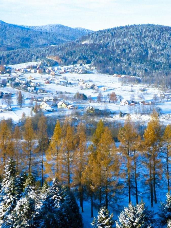 Osrodek Uzdrowiskowy Beskid Hotel Wysowa-Zdroj Ngoại thất bức ảnh