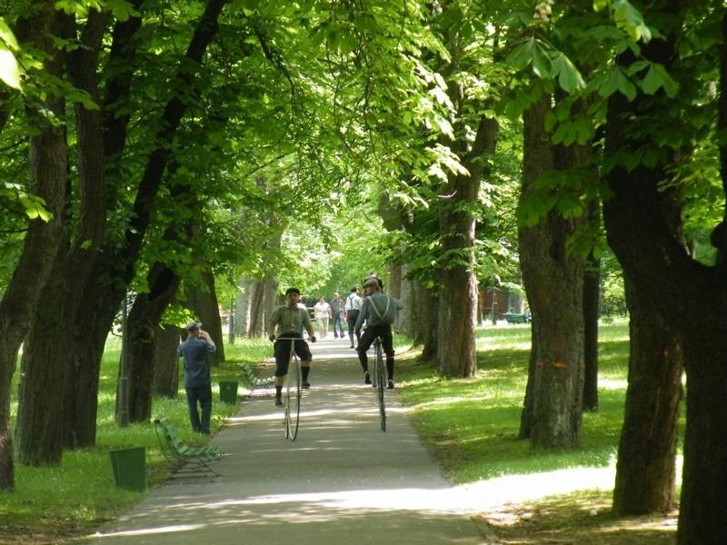 Osrodek Uzdrowiskowy Beskid Hotel Wysowa-Zdroj Ngoại thất bức ảnh